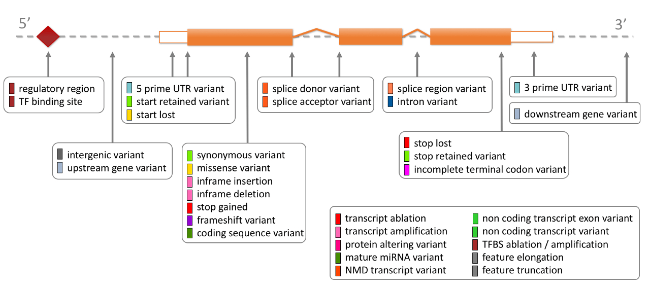 Figure: consequences-fs8.png